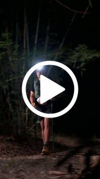 BIB:  <button type="button" onclick="openModal(28094343)" class="btn btn-primary btn-sm float-right" data-toggle="modal" data-target=".modal-high-quality">
                <i class="fa fa-download"></i> Download
                </button>